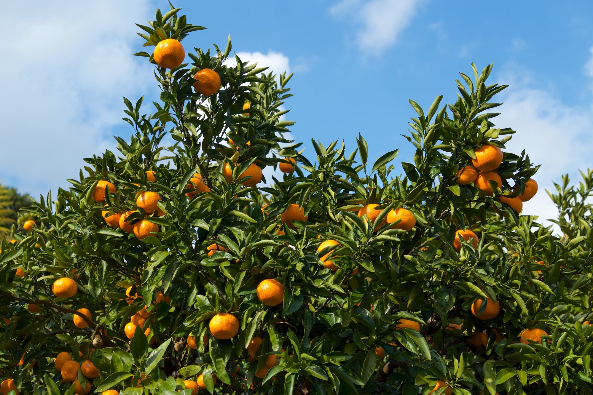 AdobeStock_245081742 AdobeStock_245081742