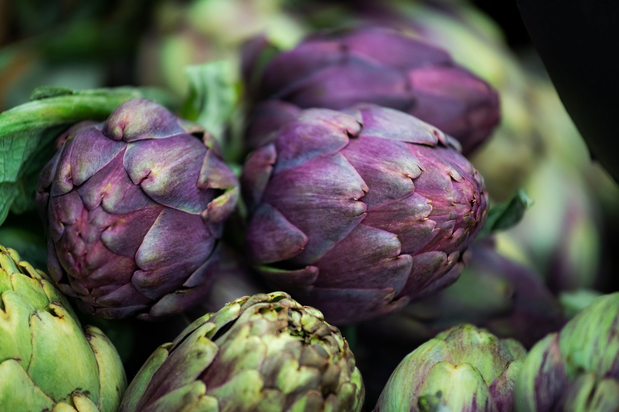 AdobeStock_254184197 AdobeStock_254184197